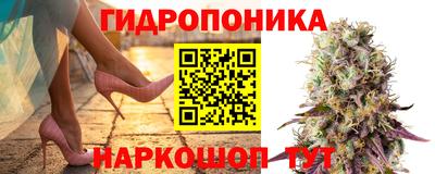 PSILOCYBIN Рыбинск