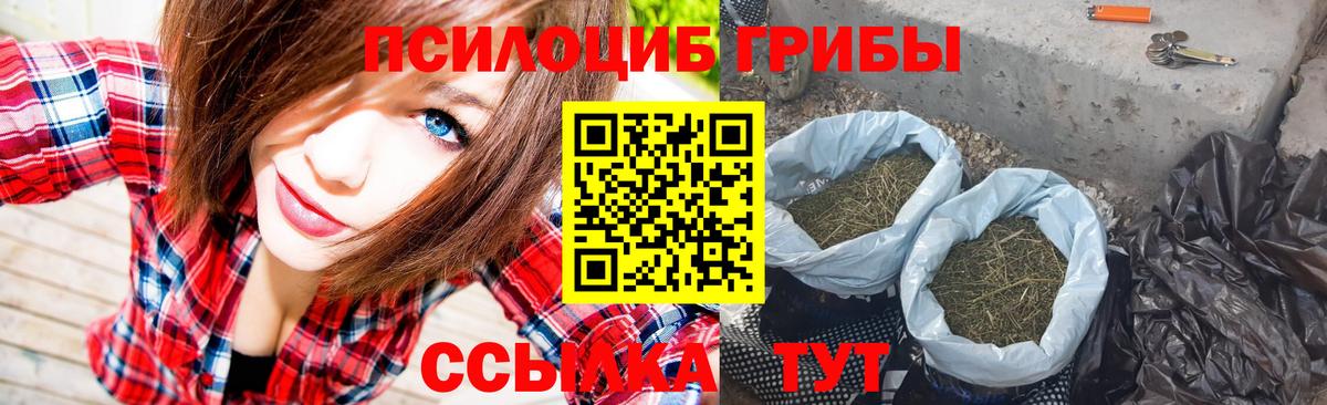 Псилоцибиновые грибы Psilocybe  Вход с VPN  купить  цена  Россошь 