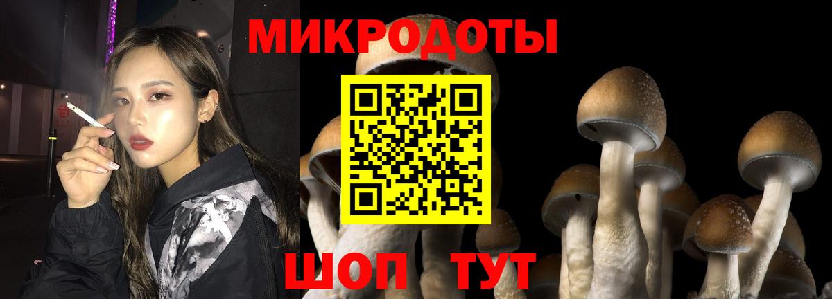 Галлюциногенные грибы прущие грибы Россошь